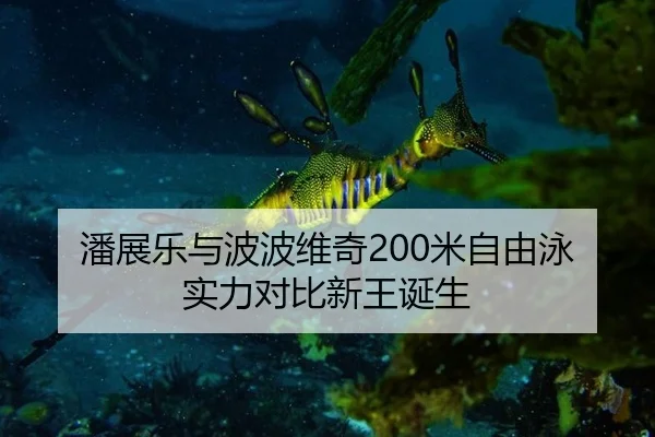潘展乐与波波维奇200米自由泳实力对比新王诞生